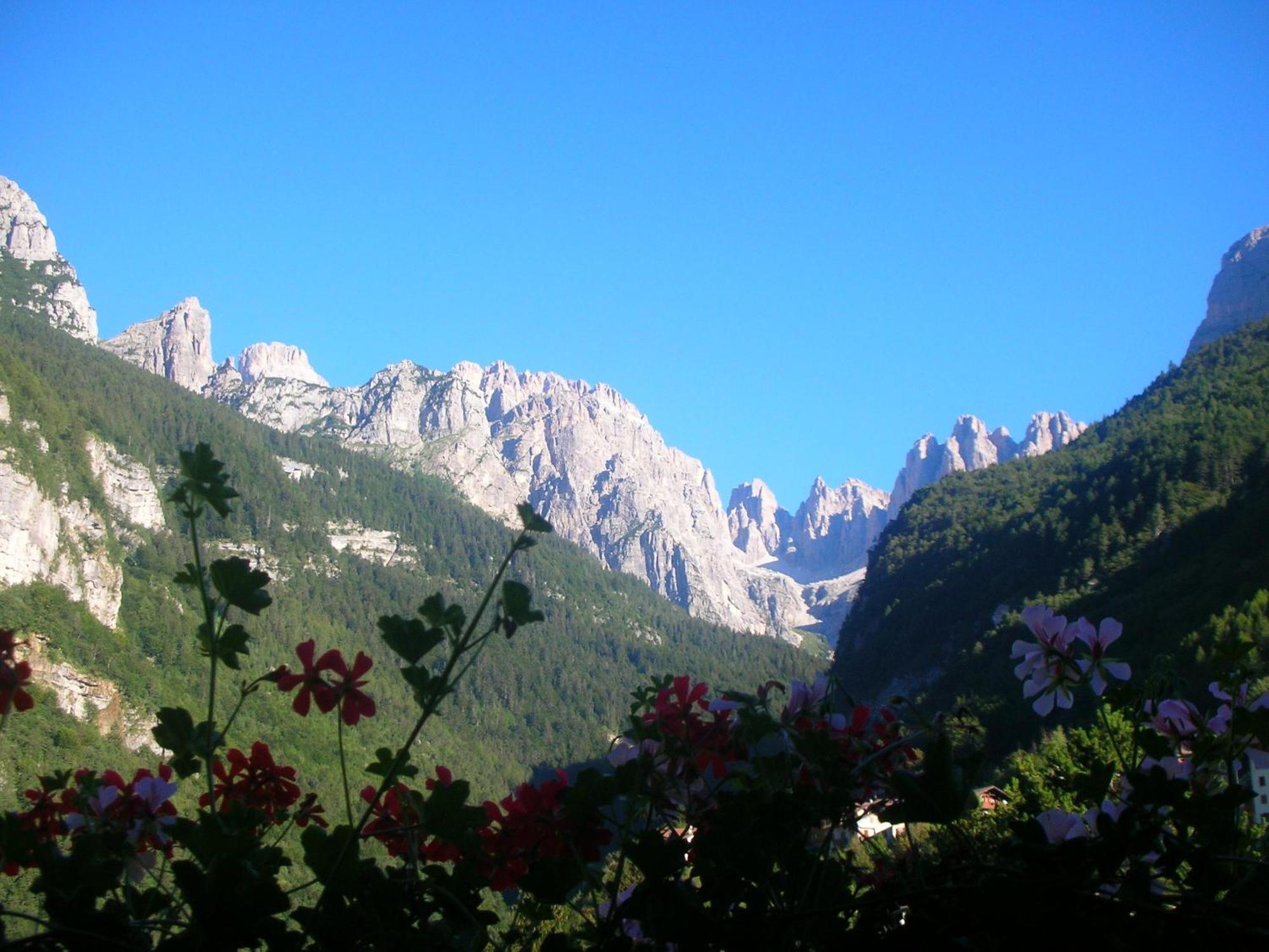 Garni Lago Alpino Molveno Dış mekan fotoğraf